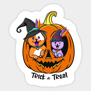 Pumpkin Halloween cat dog funny sticker Sticker